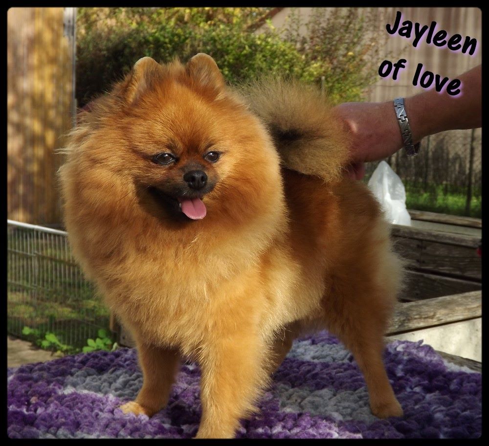 Jayleen of love Des Pattes Impériales