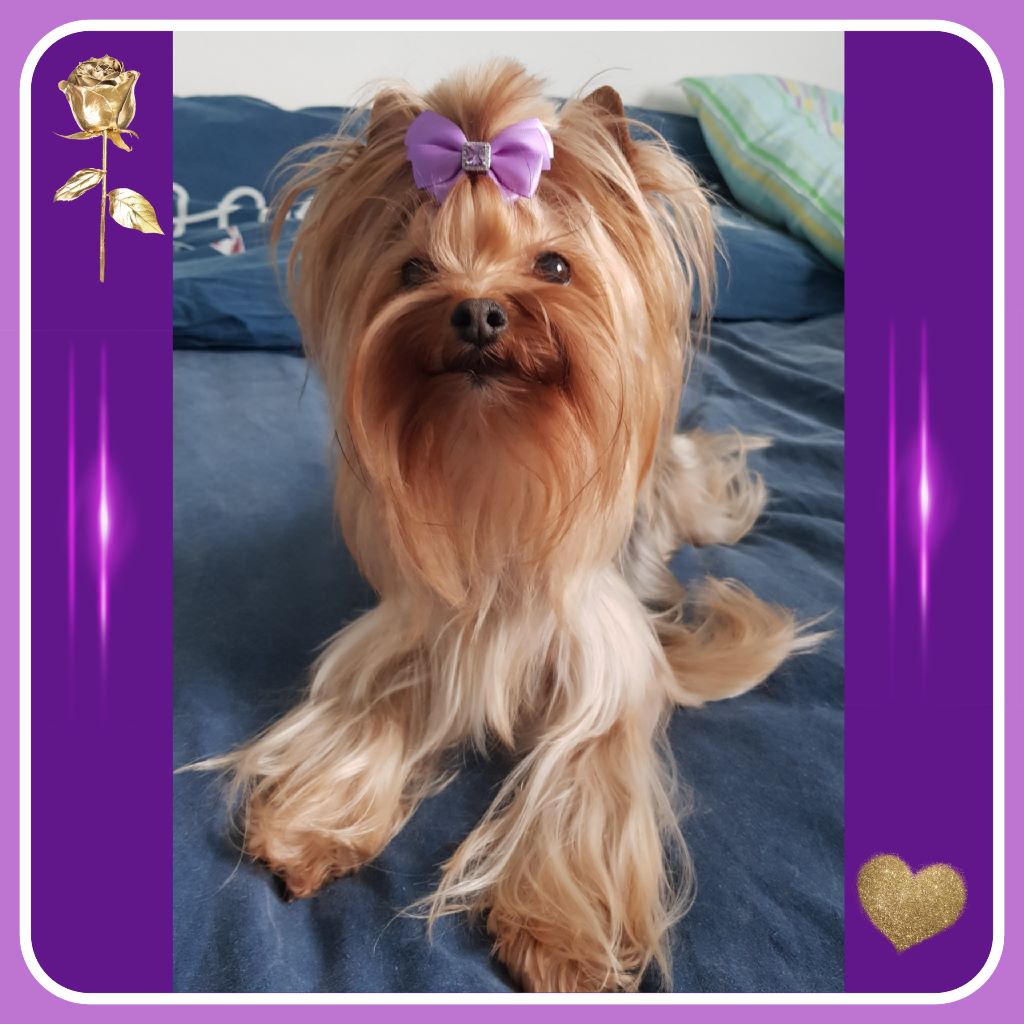 Idaïa precious girl Des Pattes Impériales